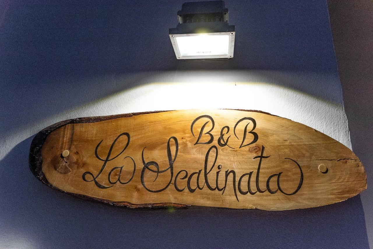 La Scalinata Bed & Breakfast Marina di Mancaversa Ngoại thất bức ảnh